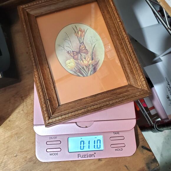 Vtg Kay Lamb Shannon Wood Framed Butterfly Print Entomology Art 9" x 7" - Picture 11 of 11